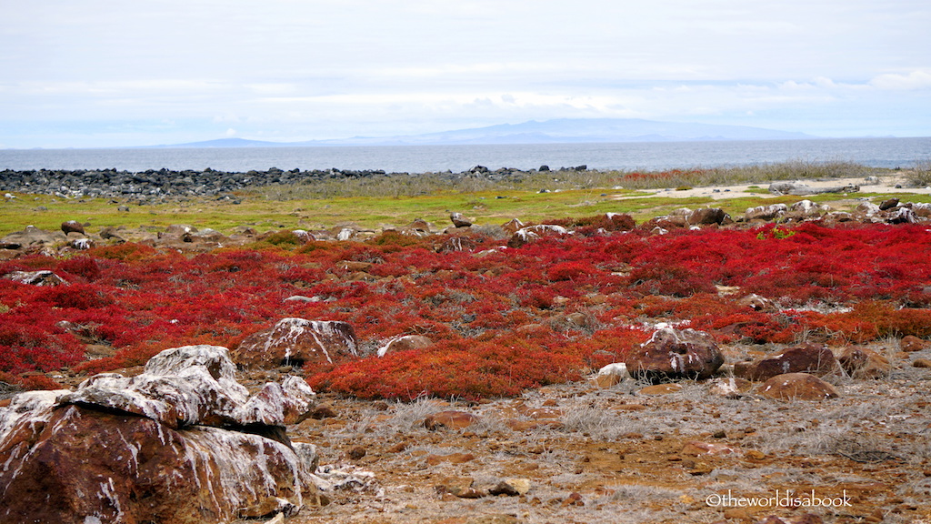 north island billetter og adgangskort